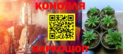 a pvp Усть-Джегута