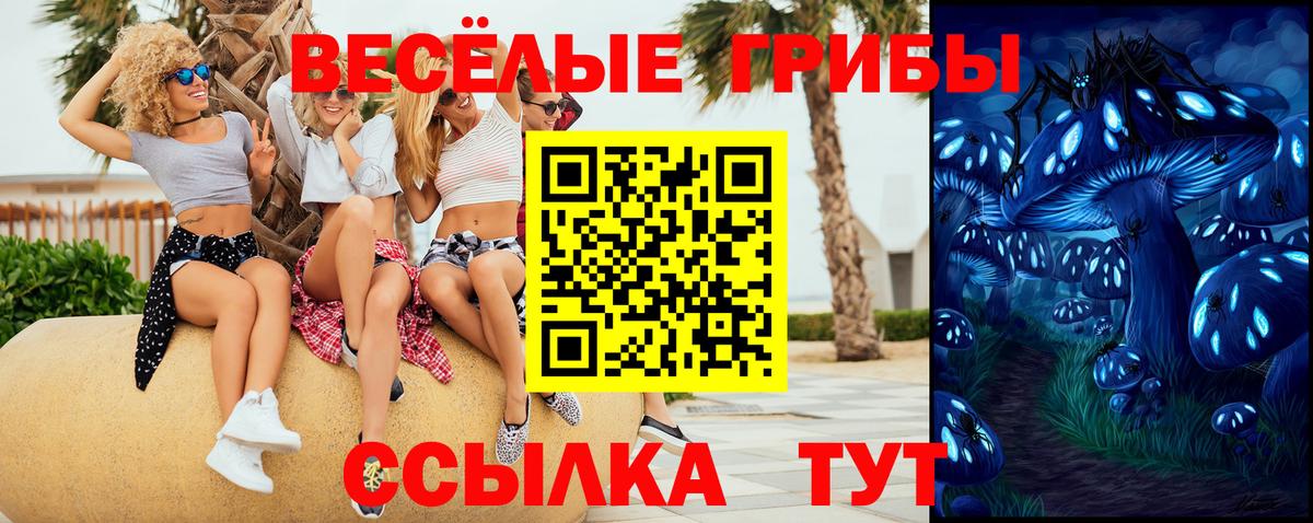 Галлюциногенные грибы ЛСД  Вход с VPN  закладка  Тамбов 