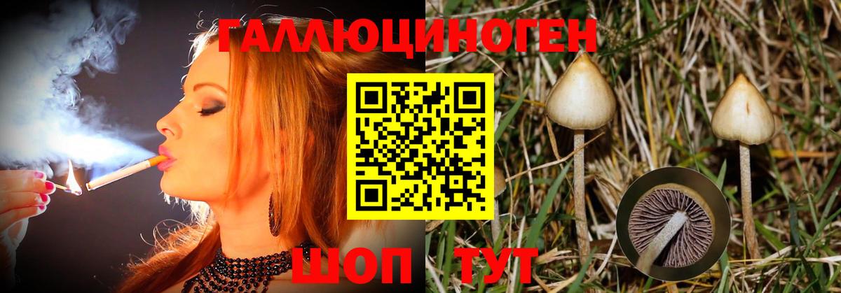 Галлюциногенные грибы Magic Shrooms Тамбов