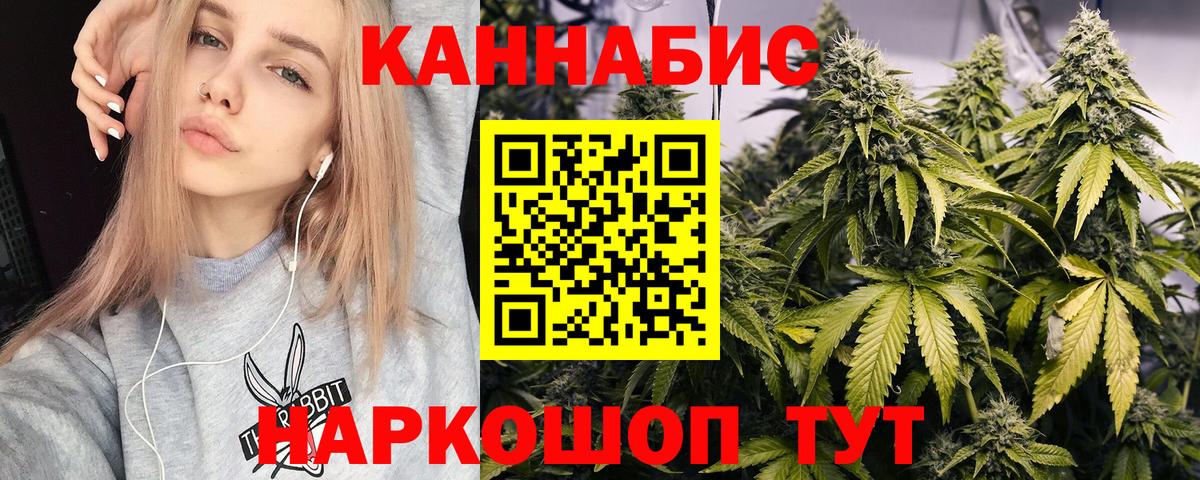 Марихуана индика  Марихуана тримм  Конопля план  Тамбов  Вход с VPN 